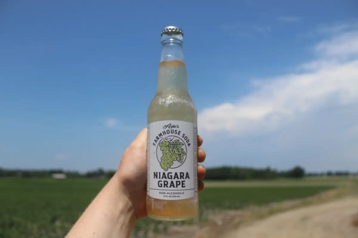 Bottle of Agle's Farmhouse Soda Niagara Grape held up against a New York farm field